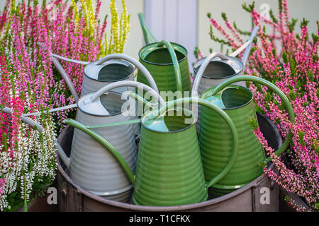 Grün und Grau metall Gießkannen im Garten. Stockfoto