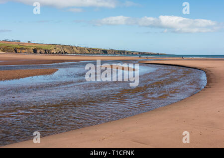 Lunan Bay Beach, Angus, Schottland. Stockfoto