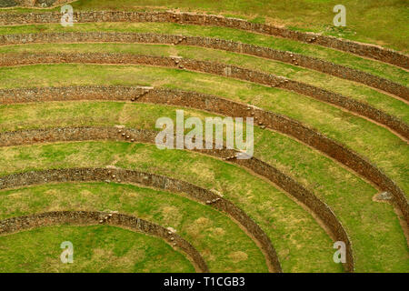 Die Inkas Rundschreiben trat landwirtschaftlichen Terrassen von Moray, archäologischen Stätte in der Region Cusco, Peru Stockfoto