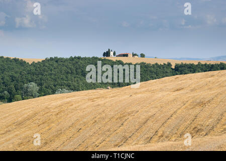 Toskana erstaunliche Landschaft. typische Ansicht für die Region Toskana Bauernhof, grünen Hügeln, Weinbergen, Zypressen Bäume in Tag Sonne leuchtet Stockfoto