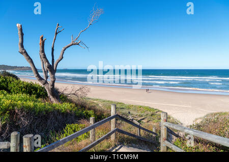 Park Beach, Coffs Harbour, New South Wales, Australien Stockfoto