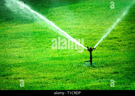 Sprinkler Sprühwasser auf saftig grünen Gras Stockfoto