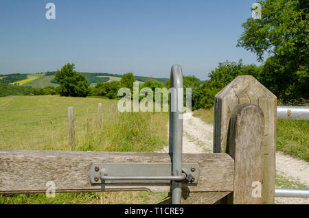 South Downs Way Stockfoto