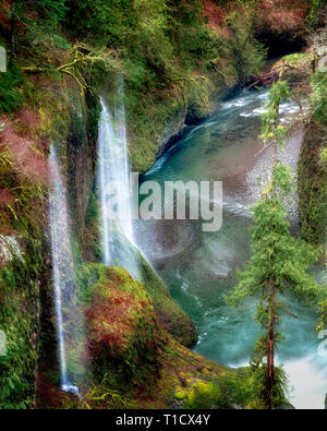 Saisonalen Wasserfälle (unbenannt) in Eagle Creek. Columbia River Gorge National Scenic Bereich, Oregon Stockfoto