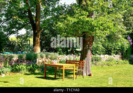 Holz- Tisch und Bank im Garten unter einem alten Baum. Stockfoto