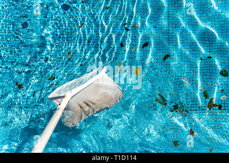 Wartung Mann mit einem Pool net Blatt skimmer Rake im Sommer bereit für seinen Pool baden lassen. Stockfoto