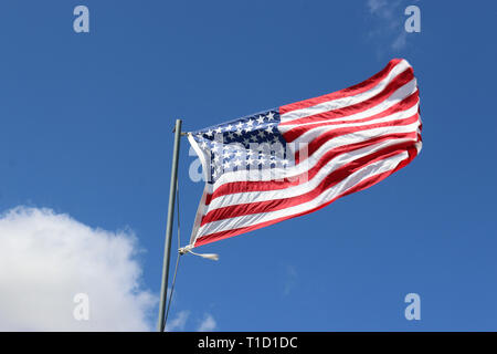 Sternenbanner Flagge der Vereinigten Staaten von Amerika fliegen und flattern auf einem grauen Pole mit blauem Himmel und weißen Wolken im Hintergrund. Stockfoto