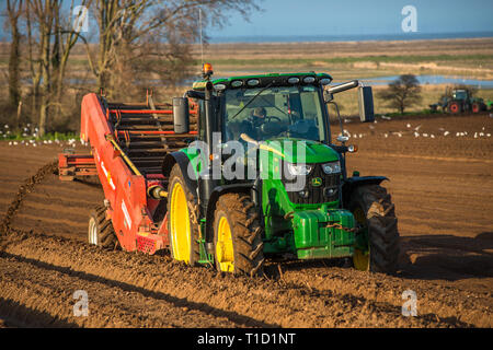 Traktoren, die tiefes Bett Gestaltung durch Aussaat die Felder in den frühen Quellen Zeit in Burnham Overy in Nord Norfolk, East Anglia, England, Großbritannien Stockfoto