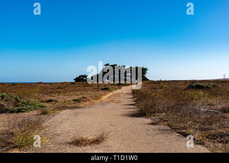 Schmutz weg durch Felder, Wäldchen jenseits unter strahlend blauen Himmel. Stockfoto