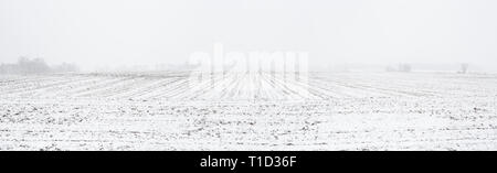 Gepflügte Feld leicht fallenden Schnee Stockfoto