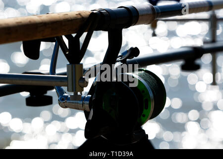 Stangen ganz nah am Plattensee. Ungarn Stockfoto