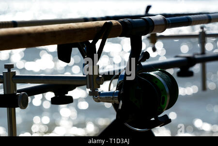 Stangen ganz nah am Plattensee. Ungarn Stockfoto