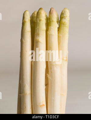 Weißer Spargel Stiele gegen hellen Hintergrund Stockfoto