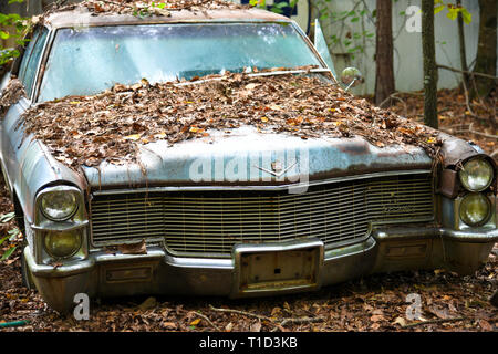 Weiß, GA/USA - 27. Oktober 2018 - Eine alte Schrott Cadillac Auto in einem Junk Yard mit leavesl abgedeckt Stockfoto