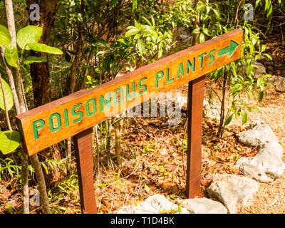 Giftige Pflanzen Zeichen, Leon Abgabe einheimische Pflanze erhalten, Governors Harbour, Eleuthera, Bahamas. Stockfoto