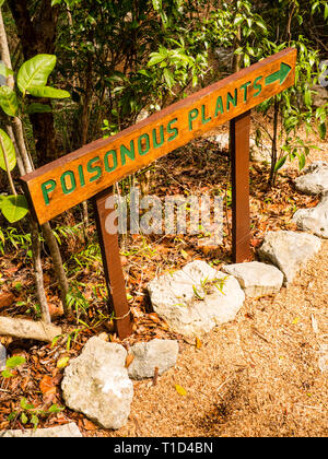Giftige Pflanzen Zeichen, Leon Abgabe einheimische Pflanze erhalten, Governors Harbour, Eleuthera, Bahamas. Stockfoto