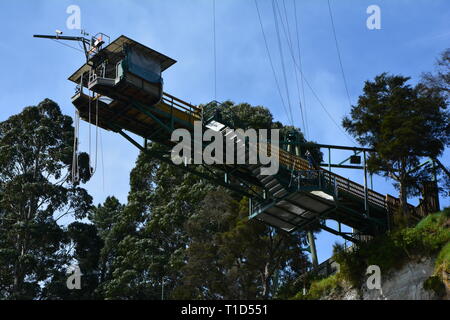 Taupo Bungy, Neuseelands höchsten Wasser in Berührung Bungy Jump über Waikato River Stockfoto