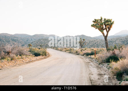 Joshua Tree und Wüste Landschaft entlang einem Feldweg in Pioneertown, Kalifornien Stockfoto