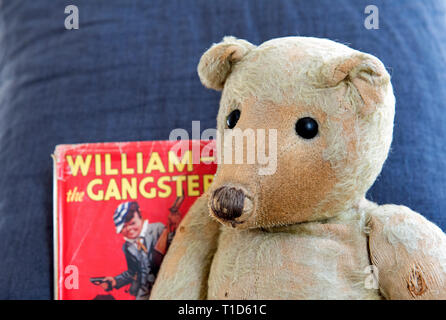 Deutsche Ted, sehr alten Menschen sehr geliebt und getragen Deutsche vintage Teddybär, C. 1914 zeigt eine feine Spitzen Gesicht Profil mit William der Gangster Buch von richmal Cromp Stockfoto