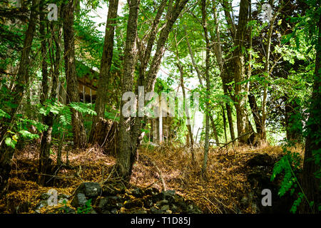 Berengaria Hotel und die umliegenden Berge Wald - verlassene Gebäude in Prodromos, Zypern Stockfoto