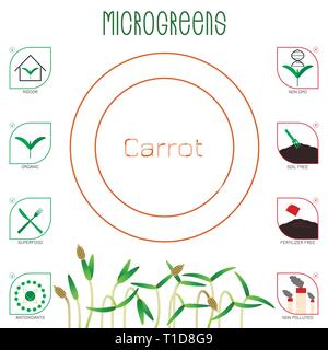 Microgreens Karotte. Saatgut packaging design. Symbole - Indoor, organische, superfood, Antioxidantien, GVO, Boden, Dünger, nicht verschmutzt Stock Vektor