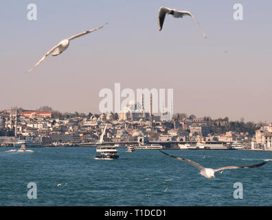 Ein Blick auf Istanbul von einem Boot auf dem Fluss Bosporus mit der Süleymaniye Moschee am Horizont und Möwen am Himmel Stockfoto