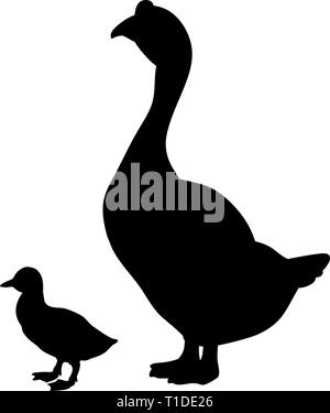 Gans und gosling Vogel schwarze Silhouette Tier. Stock Vektor