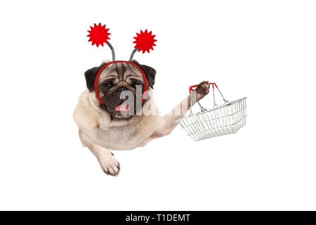 Glücklich lächelnde Mops Welpe Hund halten, Kabel metall Warenkorb, das Tragen der roten Diadem, auf weißem Hintergrund Stockfoto