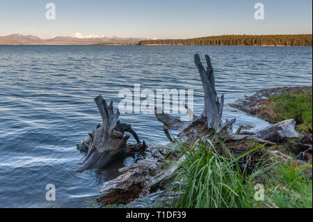 Lake Yellowstone um Sonnenuntergang Stockfoto