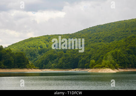 Irabia ufer Sumpf, umgeben von Buche (Fagus sylvatica) und Europäische Tanne (Abies alba) gemischter Wald (Wald von Irati, Navarra, Spanien) Stockfoto