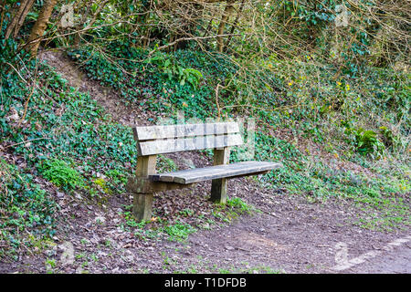 Eine Sitzbank aus Holz mit frühen Frühling Wachstum und Efeu auf der Bank hinter und letzte Jahre leaflitter auf dem Boden neben einem Land weg. Stockfoto