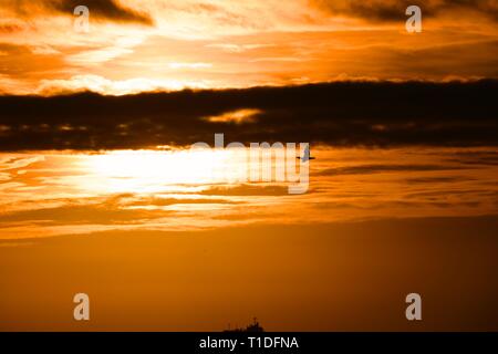 Goldener Sonnenuntergang Stockfoto