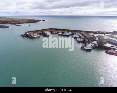 Dies ist eine Luftaufnahme von Ardglass Hafen und Fischerboot Flotte im County Down in Nordirland Stockfoto