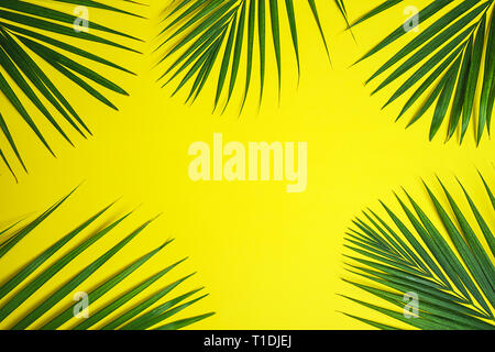 Tropical Green Palm Blätter auf gelben Hintergrund. Stockfoto