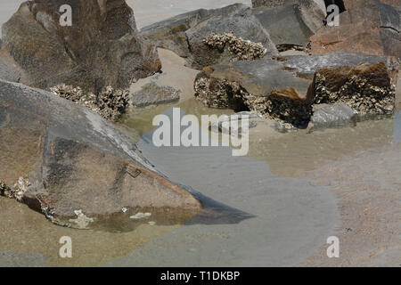 Abstrakte, Jetty Wellenbrecher auf Fernandina Beach, Fort Clinch State Park, Nassau County, Florida, USA Stockfoto