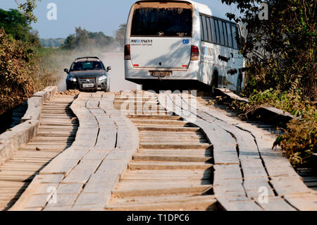 'Traffic Jam' am Ende eines hölzernen Brücke auf der Transpantaneira Highway im Pantanal Brasilien Stockfoto