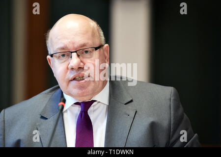 05.02.2019, Berlin, Berlin, Deutschland - Peter Altmaier, Bundesminister für Wirtschaft und Energie, bei der Vorlage der Nationalen industriellen Strateg Stockfoto