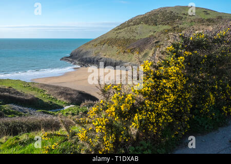 Ländliche, auf dem Land, Mwnt, Kirche, Ceredigion, Küste, Küste, Küste, die Cardigan Bay, Strickjacke, Wales, Welsh, Mitte, West, Wales, UK, GB, Großbritannien, Großbritannien, Britische Stockfoto