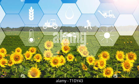 Konzept des smart Landwirtschaft und moderne Technik Stockfoto