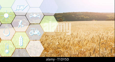 Digitale Symbole für das Management und die Überwachung der Landwirtschaft Stockfoto