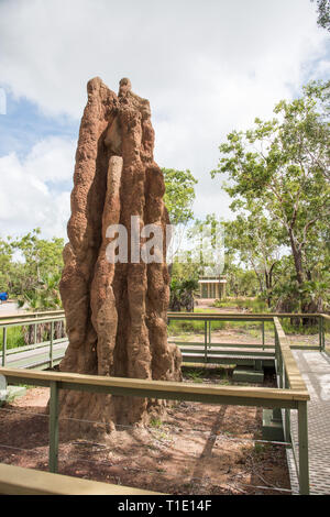 Termite Damm im Litchfield National Park in abgelegenen Bereich des Northern Territory von Australien Stockfoto