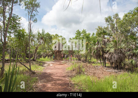 Litchfield, Northern Territory, Australia-December 24,2017: Menschen die Insekt Dämme in Litchfield National Park in Australien Stockfoto