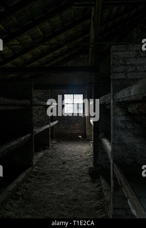 Schlafräume mit Etagenbetten aus Holz mit Gefangenen schrecklichen Lebensbedingungen an der NS-Konzentrationslager Birkenau in Oswiecim, Polen, ein Stockfoto