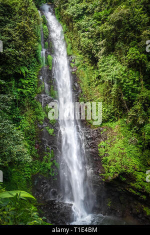 Melanting Wasserfall in Munduk, Bali, Indonesien Stockfoto