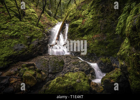 Becken fällt, einen Wasserfall in einem Bemoosten Rock Canyon bei Uvas County Park Stockfoto