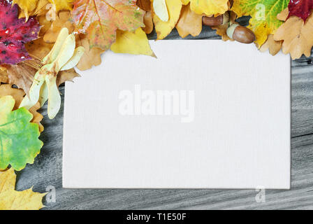 Rahmen der bunten Blätter im Herbst und weißen rechteckigen leeres Blatt Papier oder Leinwand mit Platz für Text werden auf dem Hintergrund der alten hölzernen Brettern Stockfoto