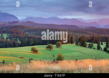 Holzzaun mit grünen Weide Felder mit Berge im Hintergrund, Polen Stockfoto