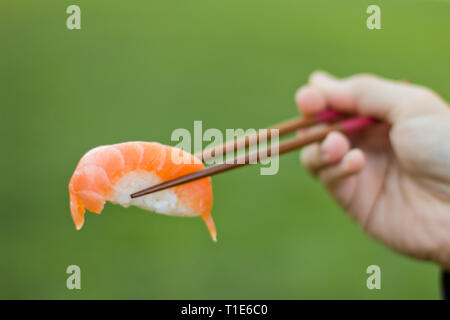Sushi bereit, auf Stäbchen im Freien zu essen Stockfoto