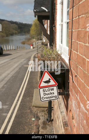 Langsam Enten Kreuzung Zeichen in einem englischen Lage am Fluss. Stockfoto