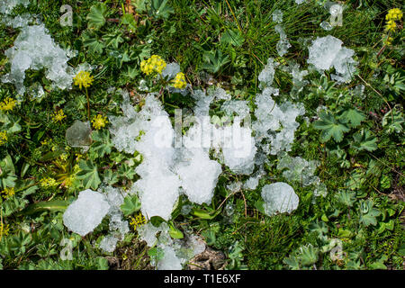 Wenig Schnee im grünen Rasen Hintergrund setzen Stockfoto